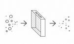 Is Mold Eliminated by Air Purifiers?